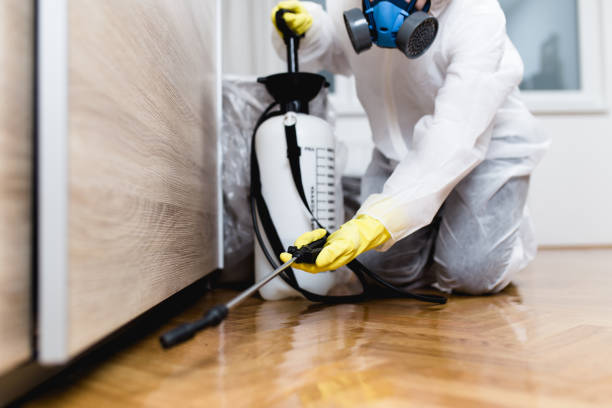 Best Commercial Pest Control Services  in Fowler, MI