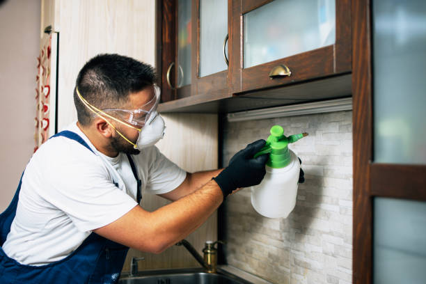 Best Local Pest Control Services  in Fowler, MI