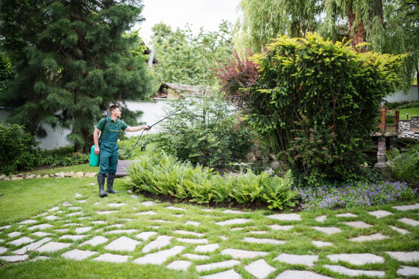 Best Best Pest Control Near Me  in Fowler, MI