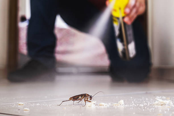 Best Exterminator Services  in Fowler, MI