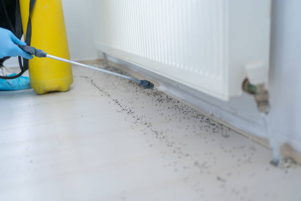 Best Pest Removal Services  in Fowler, MI