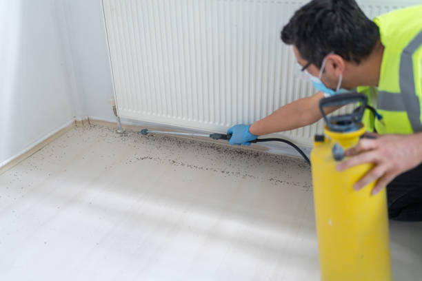 Best Bed Bug Extermination  in Fowler, MI